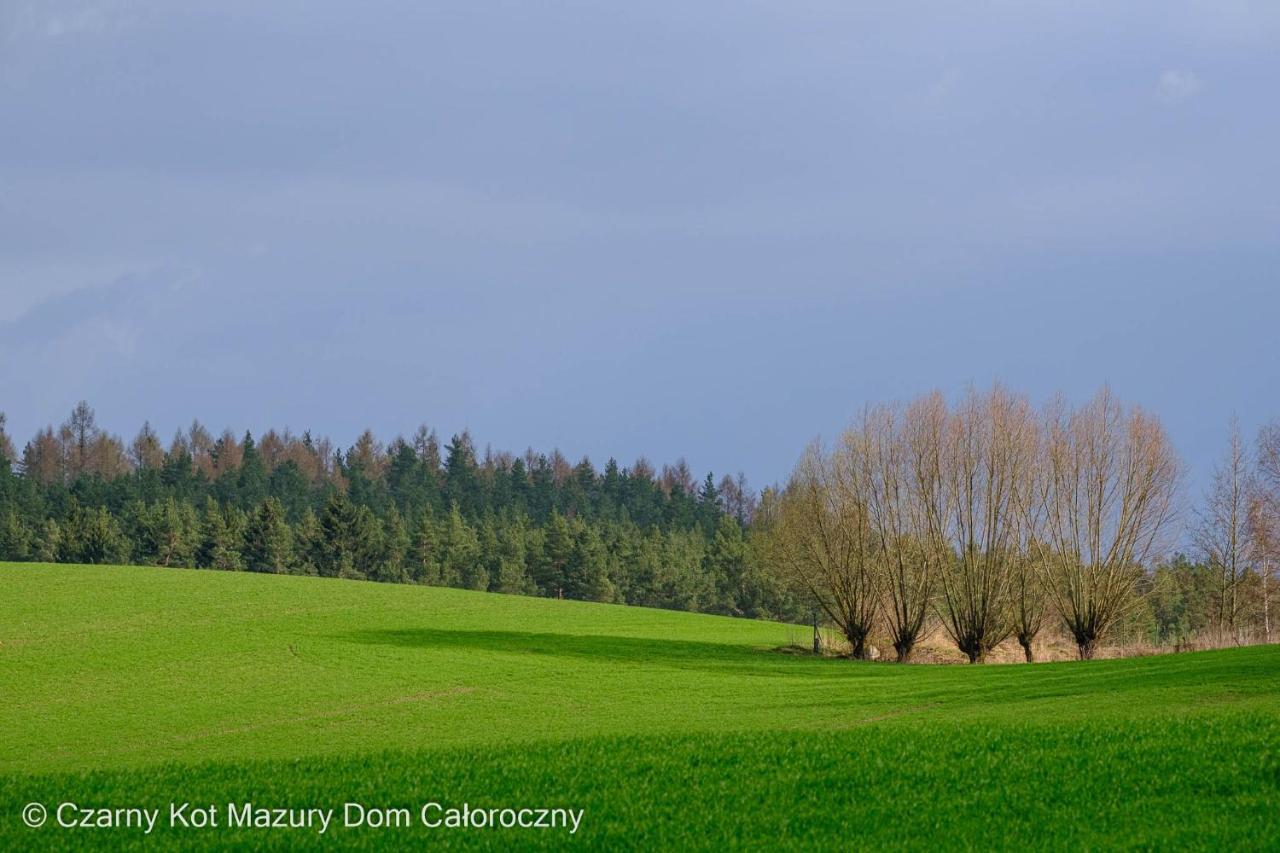 Czarny Kot Mazury Dom Caloroczny Villa Malkinie Luaran gambar